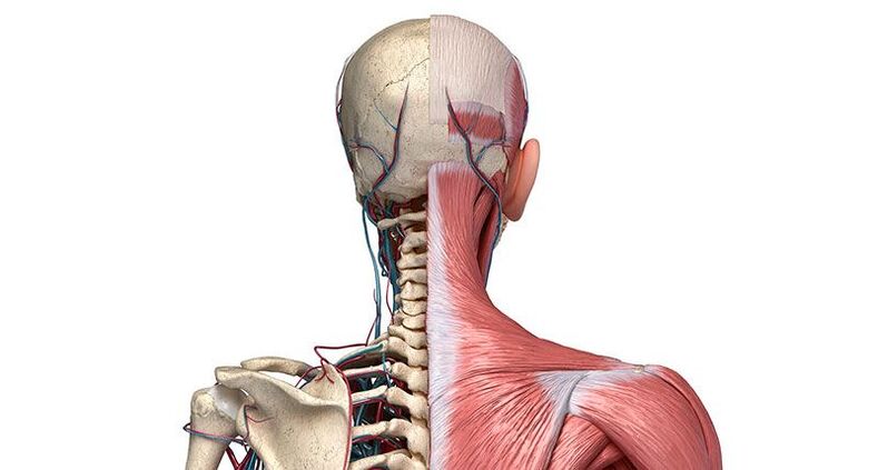 degenerative changes of the vertebrae